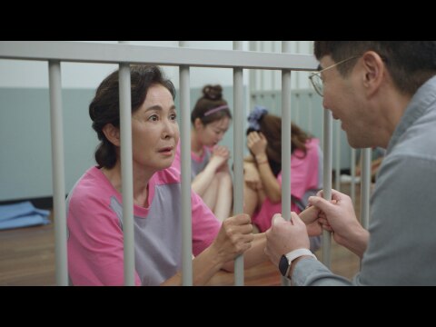 国家代表ワイフ~華麗なる江南奮闘記~｜最新の映画・ドラマ