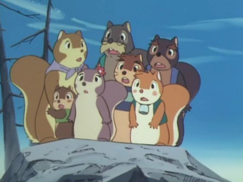 シートン動物記 りすのバナー 第21話 ヒッコリーの森よさらばの動画 最新の動画配信 レンタルならmusic Jp