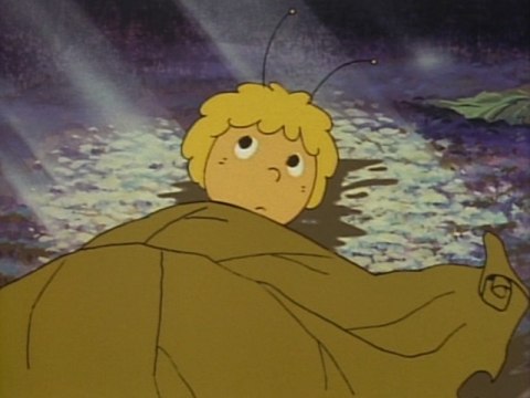 新みつばちマーヤの冒険｜最新の映画・ドラマ・アニメを見るなら