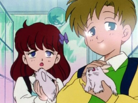 美少女戦士セーラームーン｜最新の映画・ドラマ・アニメを見る