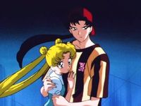 美少女戦士セーラームーン・セーラースターズ｜第14話～第17話｜最新の 