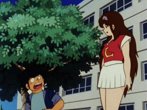 Amazon.co.jp: The かぼちゃワインを観る | Prime Video