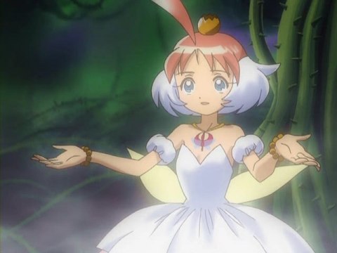 プリンセスチュチュ　あひる　アヒル　みゅうと　ふぁきあ　クレール　キラ　カード 商品詳細