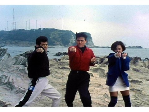 テレラン カラーグラフ 19 超獣戦隊 ライブマン4