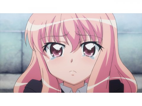 ゼロの使い魔｜第2話～第13話｜最新の映画・ドラマ・アニメを