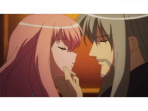 ゼロの使い魔｜第2話～第13話｜最新の映画・ドラマ・アニメを