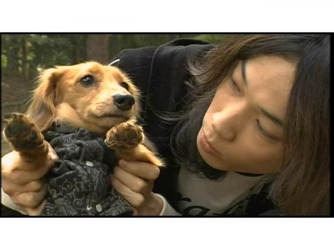 イヌゴエ｜最新の映画・ドラマ・アニメを見るならmusic.jp