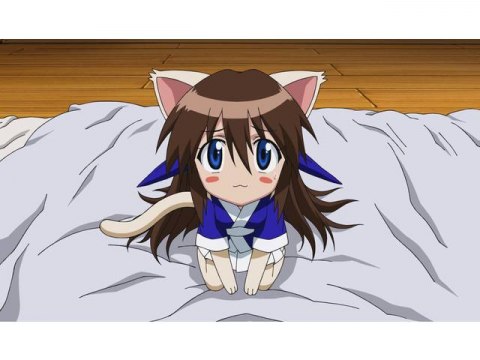 ながされて藍蘭島｜第17話～第21話｜最新の映画・ドラマ・アニメを見る