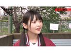 上坂すみれのヤバい 17年 の動画 最新の動画配信 レンタルならmusic Jp