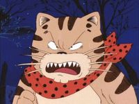 じゃりン子チエ 最新の映画 ドラマ アニメを見るならmusic Jp