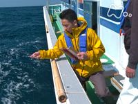 釣りびと万歳 最新の映画 ドラマ アニメを見るならmusic Jp