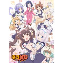 ネコぱら