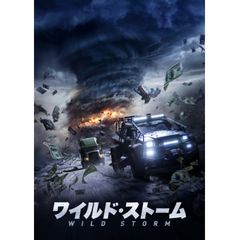 ワイルド・ストーム
