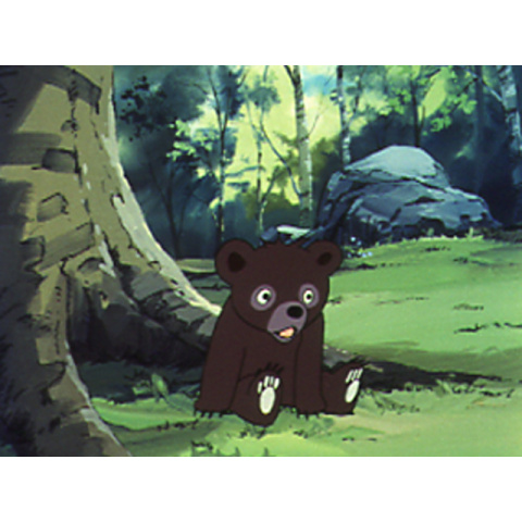 シートン動物記 くまの子ジャッキー｜最新の映画・ドラマ