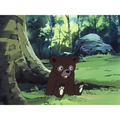 シートン動物記 くまの子ジャッキー 1977年 の動画 最新の動画配信 レンタルならmusic Jp