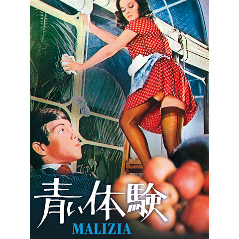 【2025】三越のお歳暮・冬ギフト ラウラ・アントネッリ トリプルDVD－BOX／ラウラ 洋画・外国映画