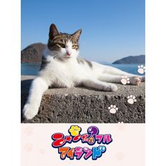 ニャンだ?フルアイランド