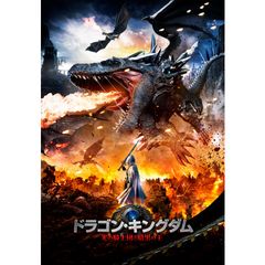ドラゴン・キングダム 光の騎士団と暗黒の王