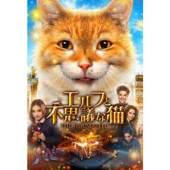 エルフと不思議な猫