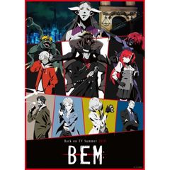 BEM