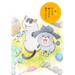 犬と猫どっちも飼ってると毎日たのしい