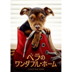 ベラのワンダフル・ホーム
