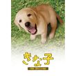 駅弁ひとり旅 東北編 12年 の動画 最新の動画配信 レンタルならmusic Jp 駅弁ひとり旅 東北編 12年 の動画 最新の動画配信 レンタルならmusic Jp
