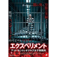 エクスペリメント・アット・セントレオナルズ女子刑務所