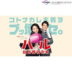 ハル ~総合商社の女~