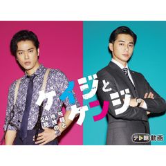 ケイジとケンジ 所轄と地検の24時