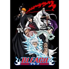 BLEACH 尸魂界篇