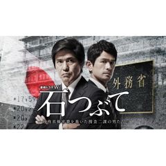 石つぶて ~外務省機密費を暴いた捜査二課の男たち~