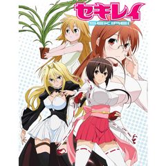 セキレイ