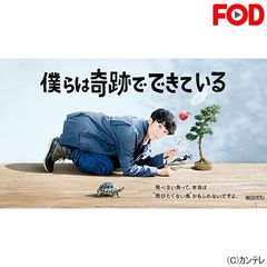 僕らは奇跡でできている