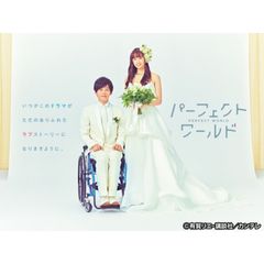 パーフェクトワールド