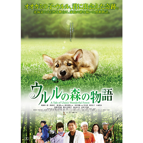 ウルルの森の物語 最新の映画 ドラマ アニメを見るならmusic Jp ウルルの森の物語 最新の映画 ドラマ アニメを見るならmusic Jp