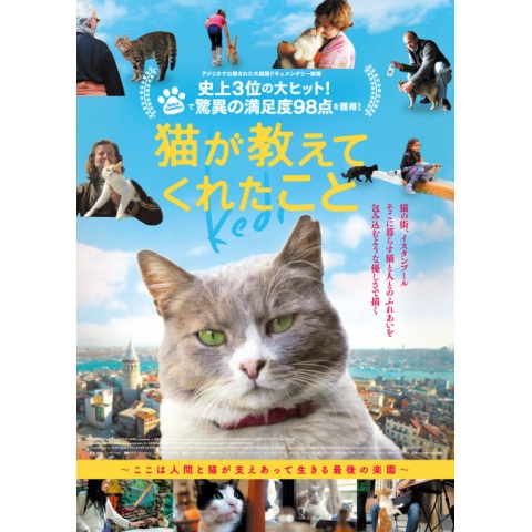 猫が教えてくれたこと 最新の映画 ドラマ アニメを見るならmusic Jp