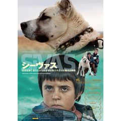 シーヴァス 王子さまになりたかった少年と負け犬だった闘犬の物語