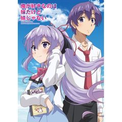 俺が好きなのは妹だけど妹じゃない