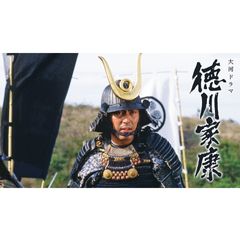 大河ドラマ 徳川家康の動画 最新の動画配信 レンタルならmusic Jp