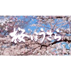 桜ほうさらの動画 最新の動画配信 レンタルならmusic Jp 桜ほうさらの動画 最新の動画配信 レンタルならmusic Jp