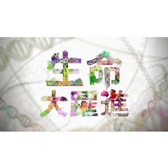 Nスペ 生命大躍進の動画 最新の動画配信 レンタルならmusic Jp