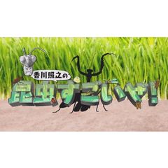 香川照之の昆虫すごいぜ!