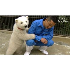 しろくまピース20歳~家族と歩んだ“いのち”の軌跡~