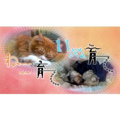 ねこ育て いぬ育て