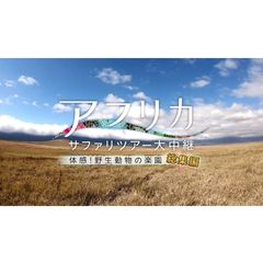 アフリカ サファリツアー大中継