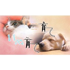 ねこ育て いぬ育て