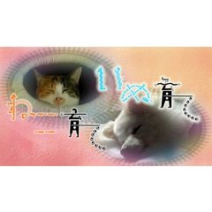 ねこ育て いぬ育て