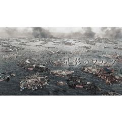 ドラマ 星影のワルツ