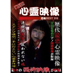 実録!!心霊映像恐怖BEST XVII